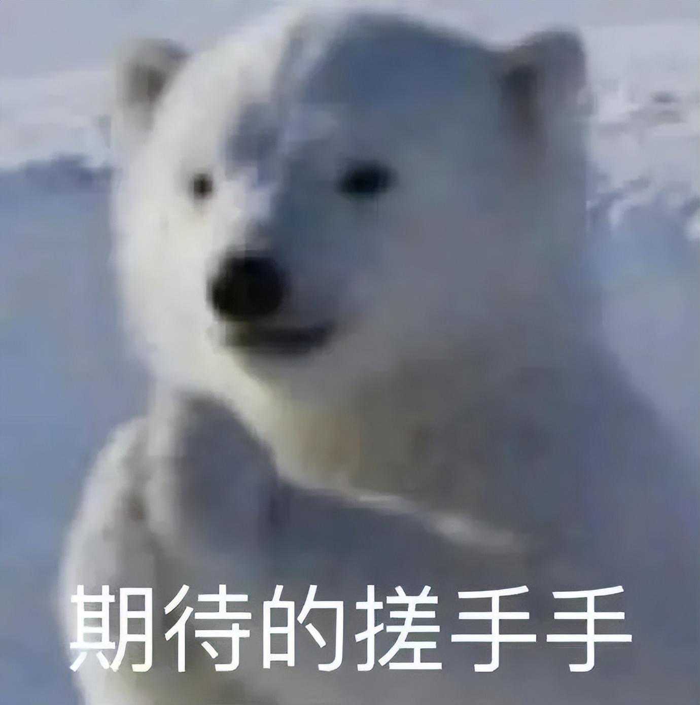 冬日雅安N大雅事公开！这座宝藏小城，竟藏了祖国半壁江山的美景