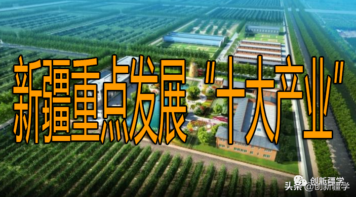 新疆重点发展“十大产业”