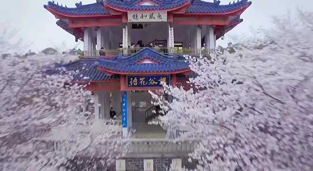 净心水器，莫不影显，常现在前