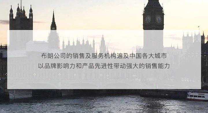 带你看一看 | 布朗技术