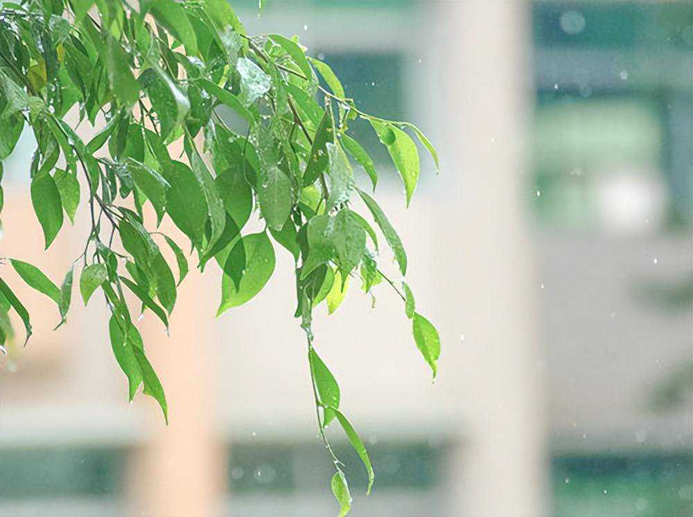 家有百朗新风，尽享舒爽夏日