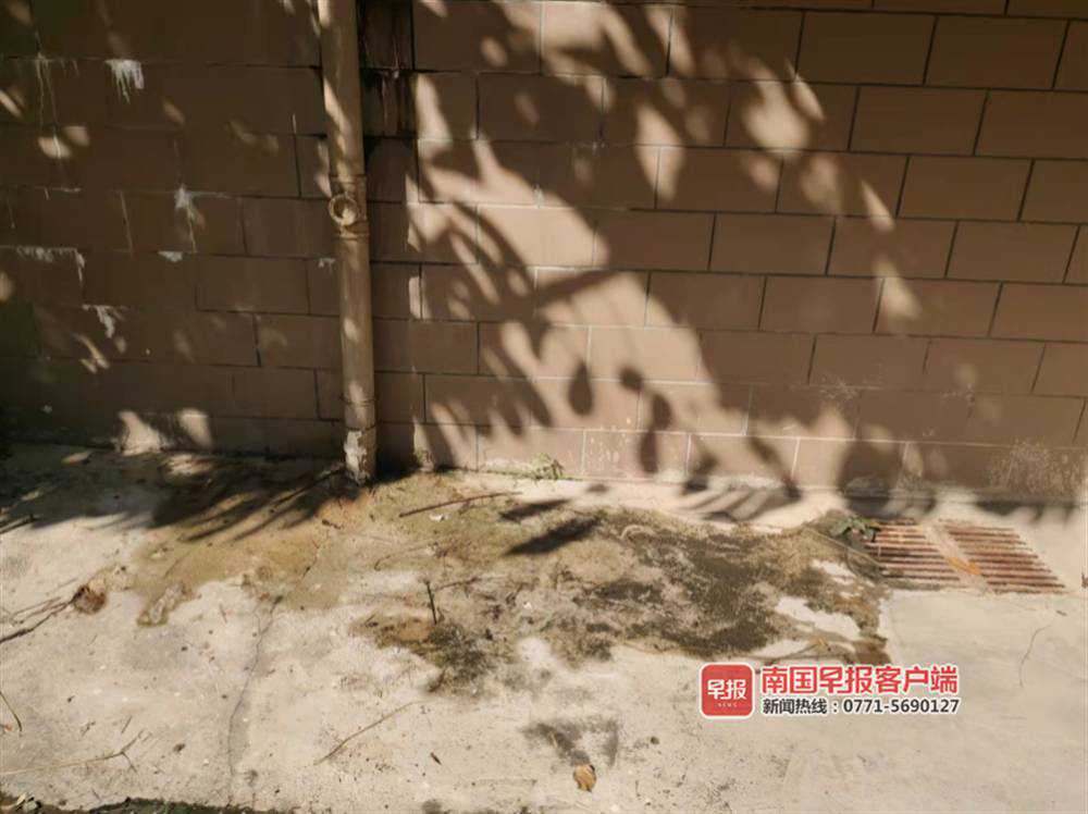 空调排水管被接入厨房排污管，污水倒流进家！南宁一小区住户饱受困扰