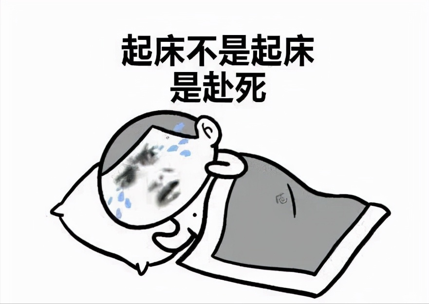 开箱实测｜取暖器：舒乐氏远红外碳素管电暖气