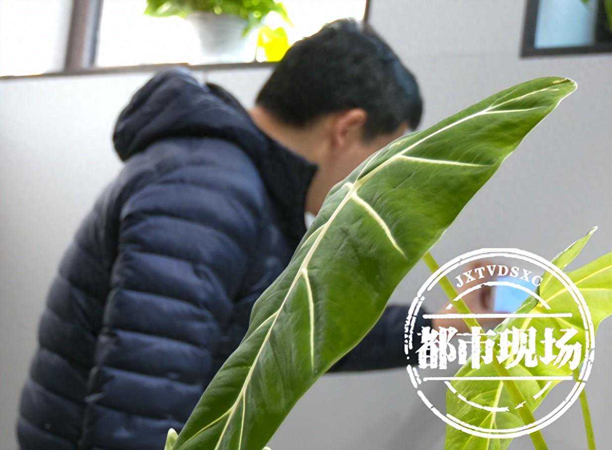 找暖通供应商采购14万全屋供暖设备 竟是“无码机”和“库存机”？