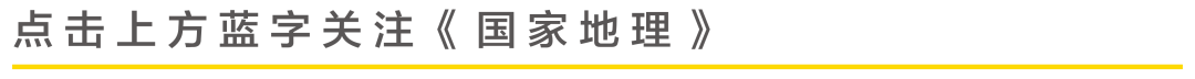 等降温就来不及了！“小暖炉”羊绒保暖衣，升温37℃，柔软贴肤，建议全家入手！