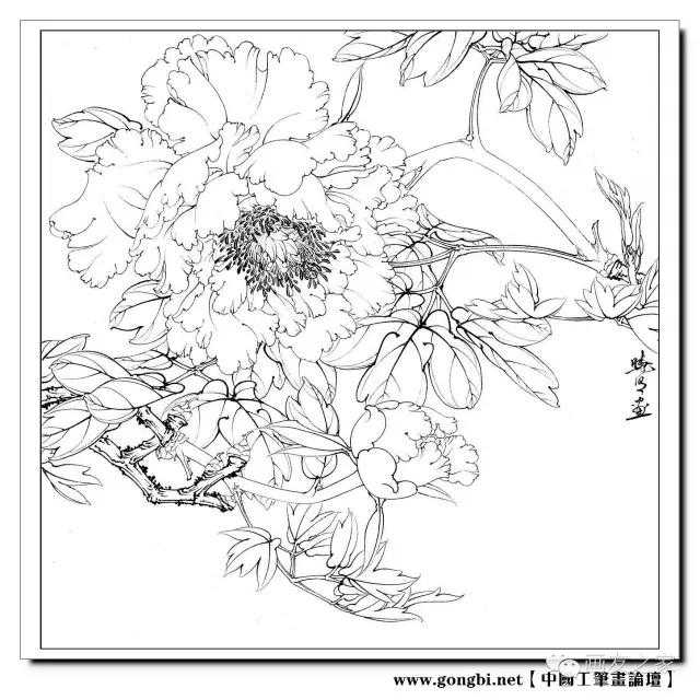 李晓明工笔重彩牡丹《暖香醉艳》设色技法！