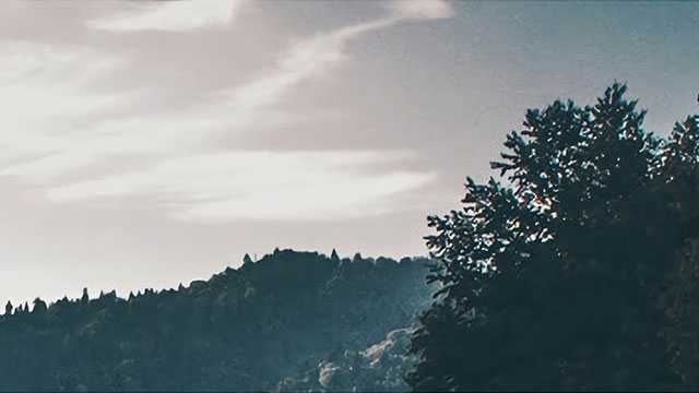 天气干燥，莹润雪梨汤，既暖胃，又润肺